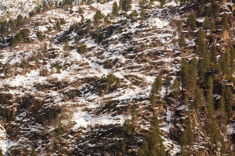 Meditation Image